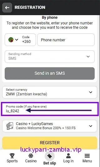 Promo code input field