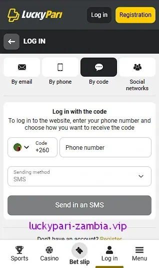 Login with code screen